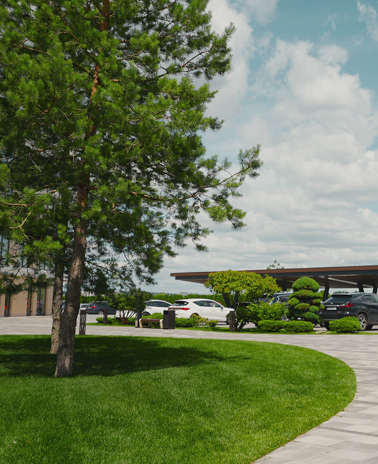 Площа газону